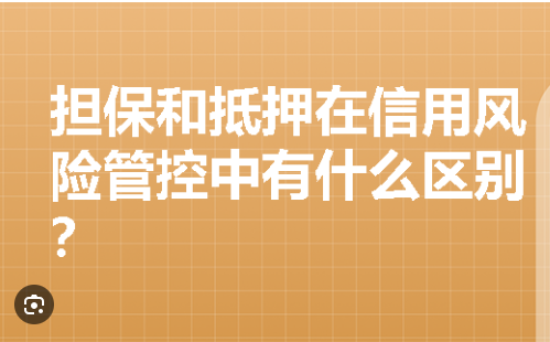 信用风险担保