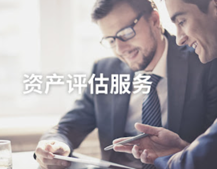 资产评估服务